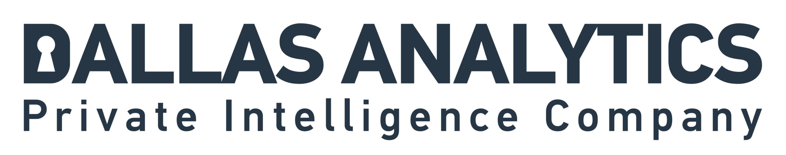 Dallas Analytics - Private Intelligence Company